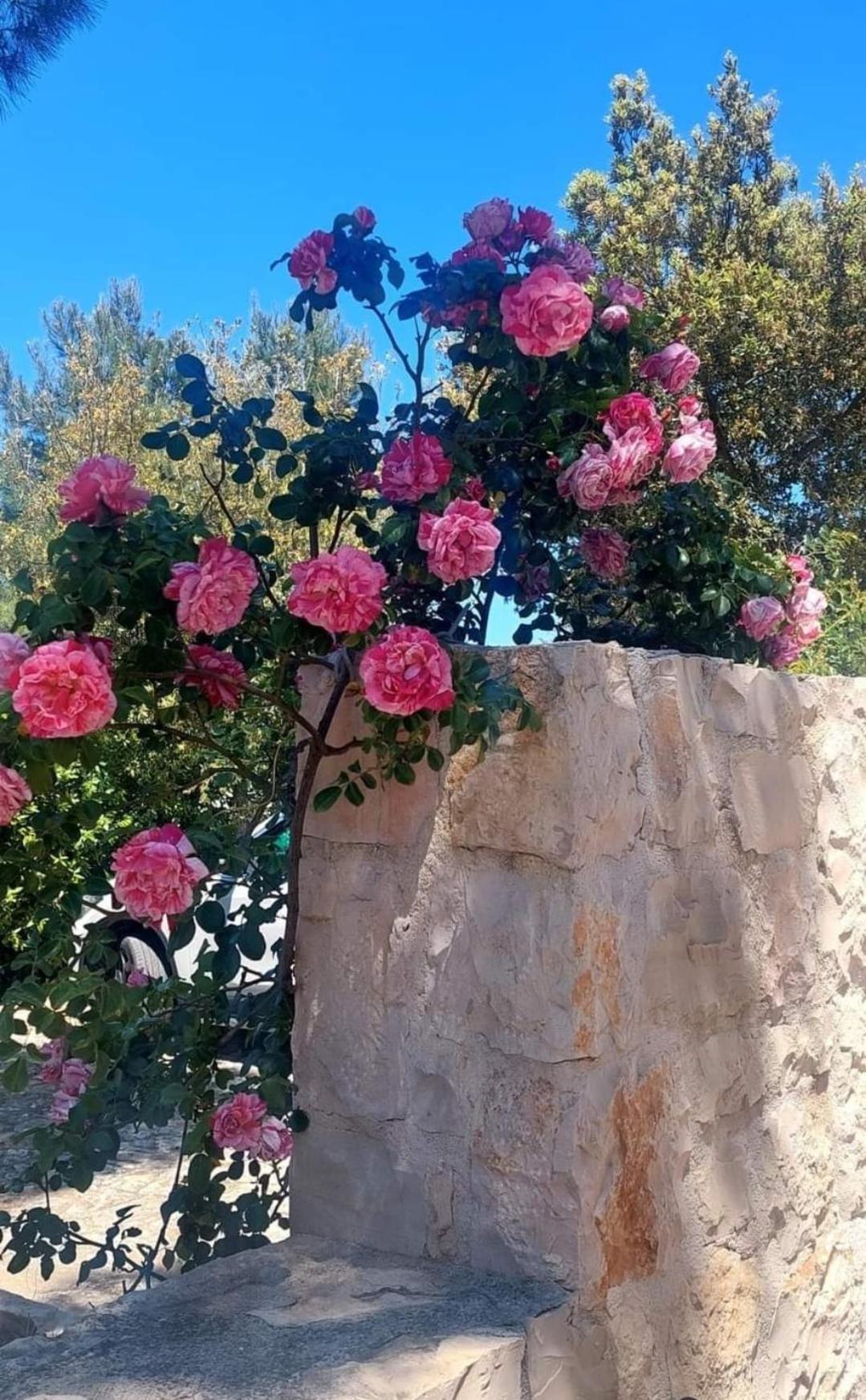 Il Trullo Delle Rose, Monopoli By Il Pumo Di Puglia Villa Cozzana Exterior foto