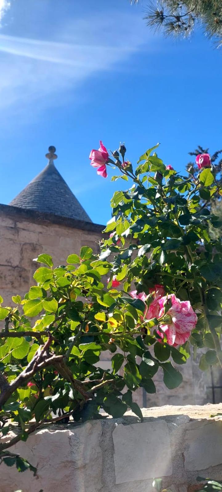 Il Trullo Delle Rose, Monopoli By Il Pumo Di Puglia Villa Cozzana Exterior foto